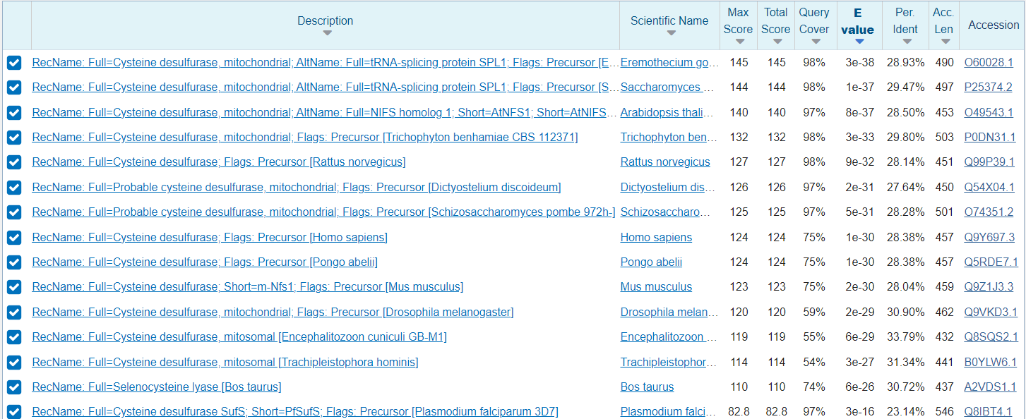 Cistein desulfuraza blastp_UniProt/Swiss-prot_evkarionti