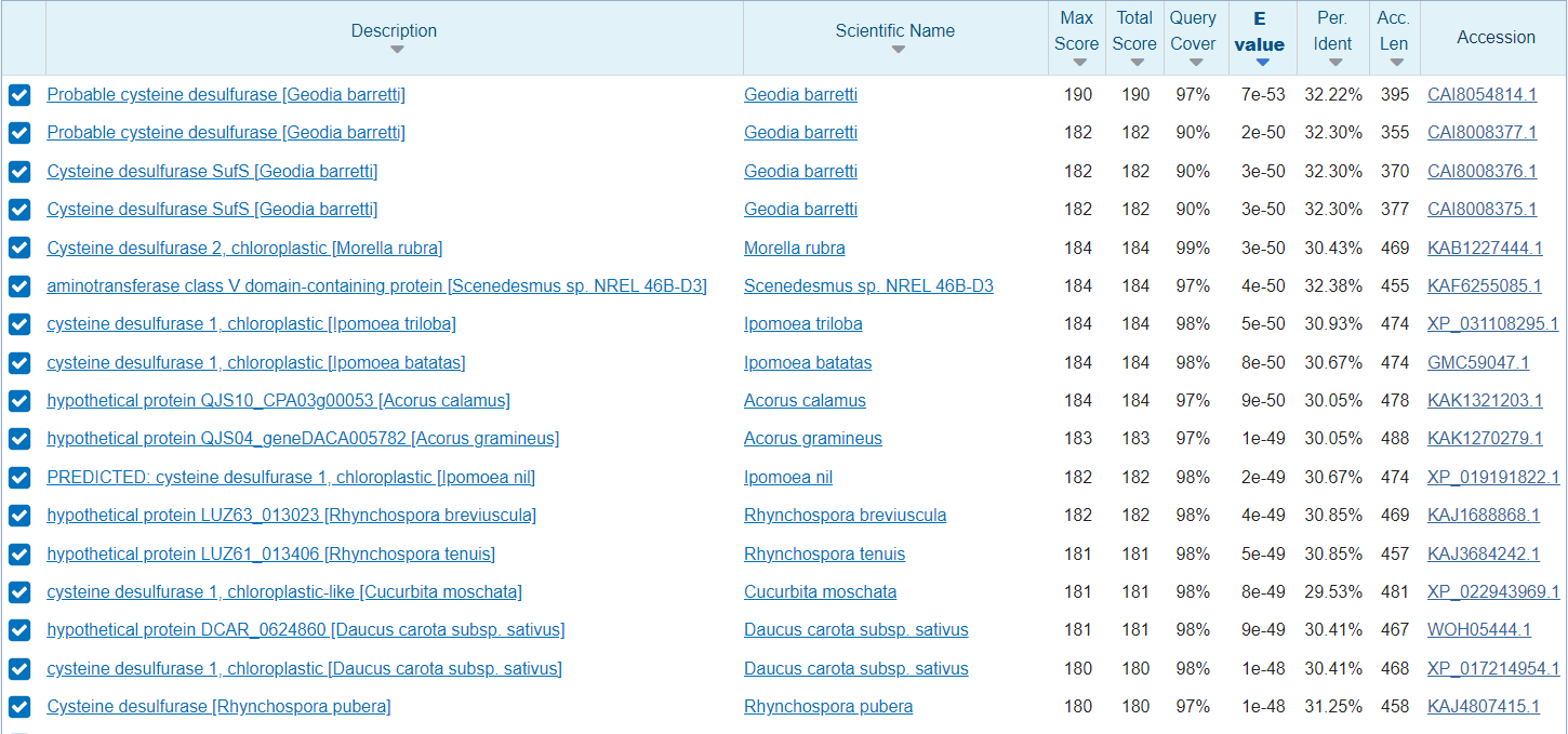 Cistein desulfuraza blastp_nr_evkarionti