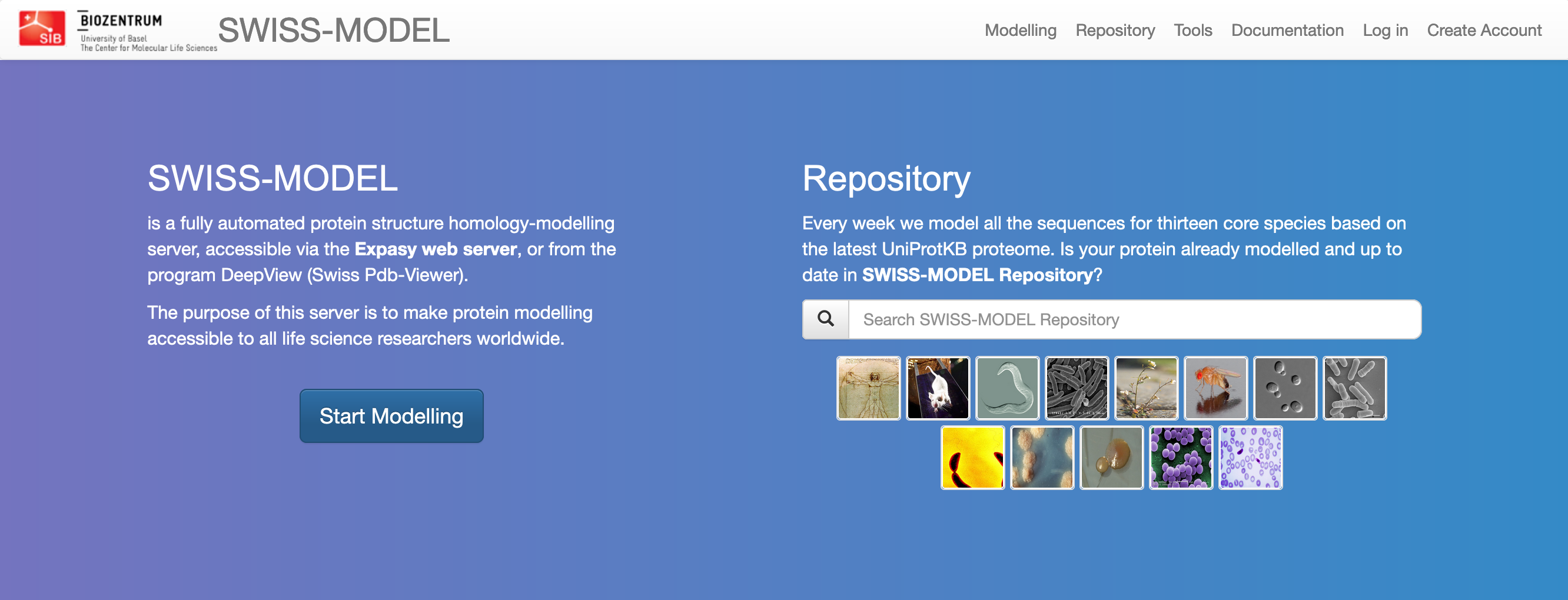SWISS-MODEL vstopna stran