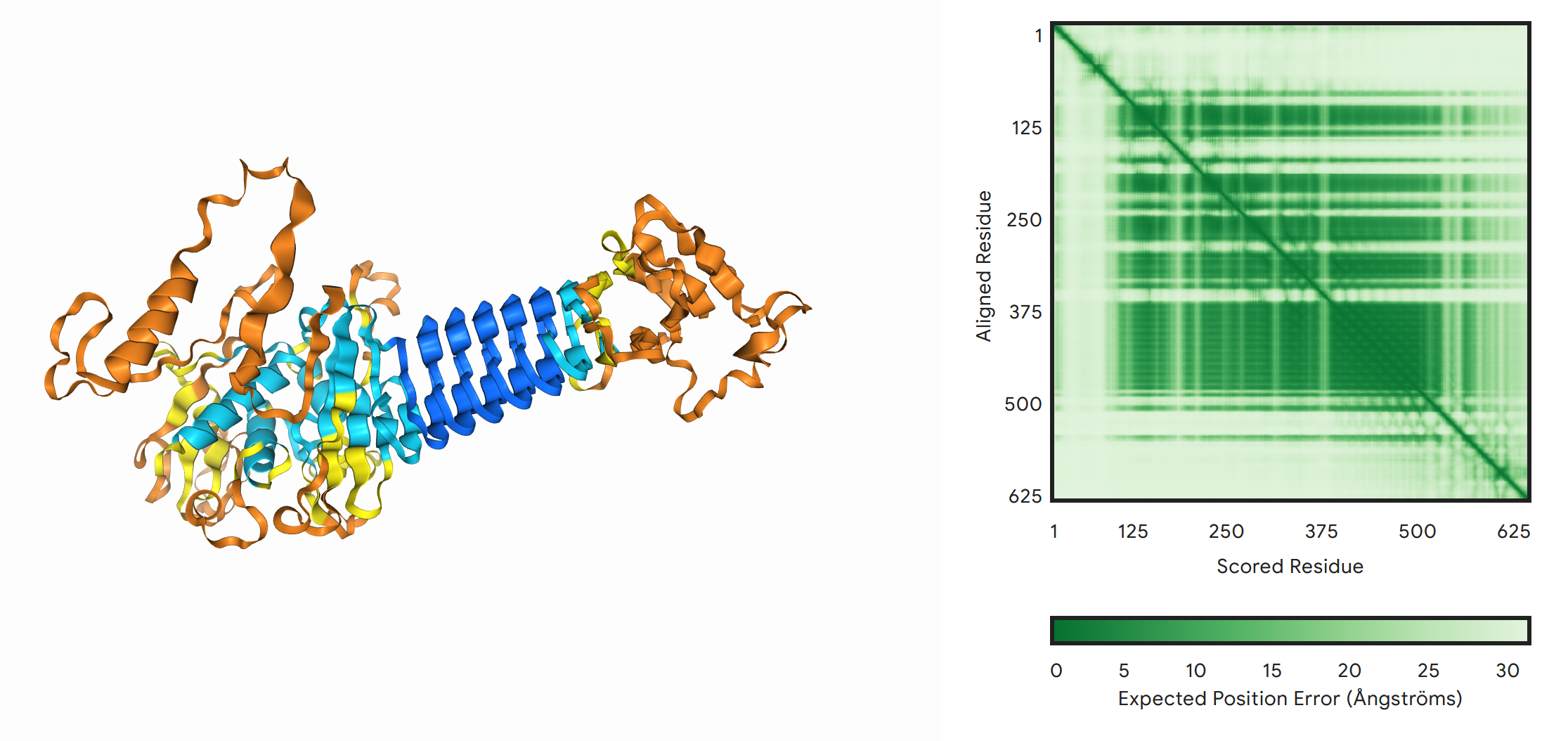 tarcni_protein_alphafold