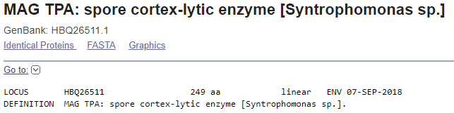 protein_TPA:spore_cortex-lytic