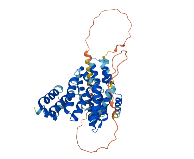 struktura_podobnega_proteina