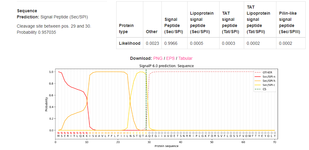 Signalni peptid