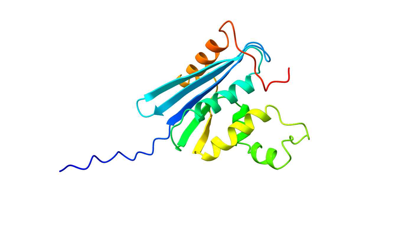 N proti C