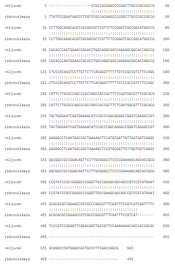 poravnava_ribonukleaza_