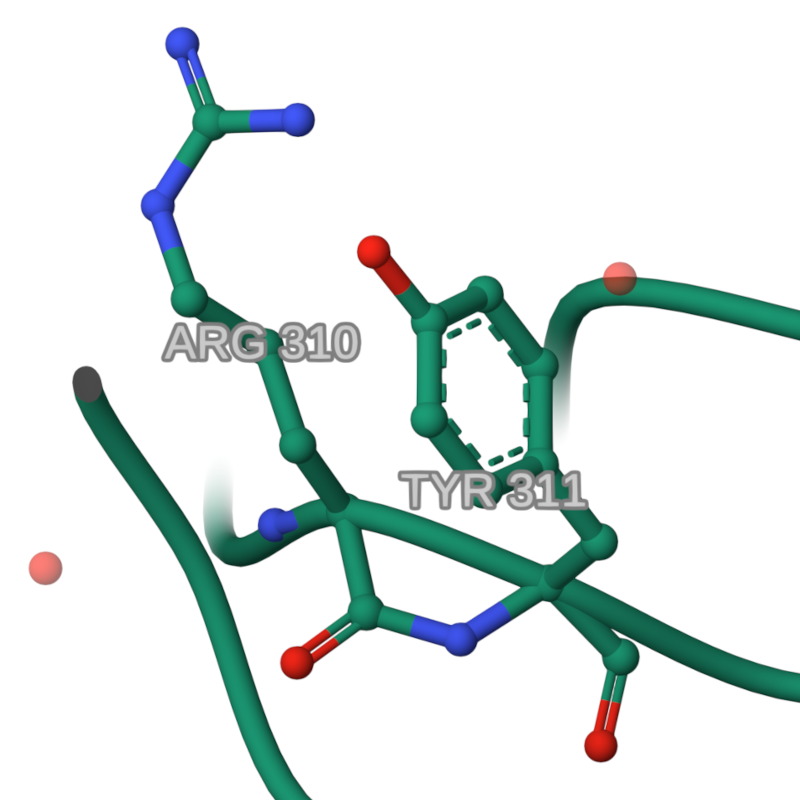 ../_images/peptidna_vez-cis.png