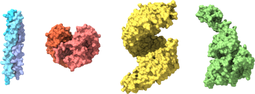 Struktura proteinov - Home